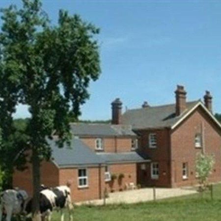 Mill Farm Villa Exeter Kültér fotó
